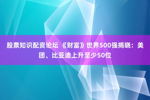 股票知识配资论坛 《财富》世界500强揭晓：美团、比亚迪上升至少50位