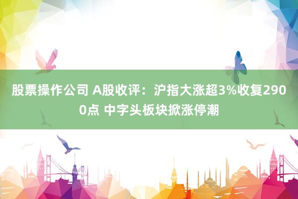 股票操作公司 A股收评：沪指大涨超3%收复2900点 中字头板块掀涨停潮