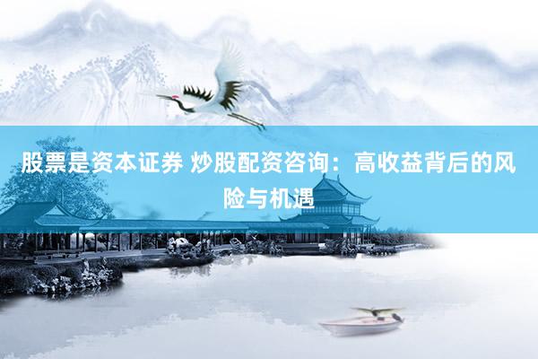 股票是资本证券 炒股配资咨询：高收益背后的风险与机遇