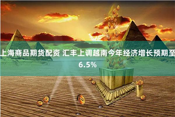 上海商品期货配资 汇丰上调越南今年经济增长预期至6.5%