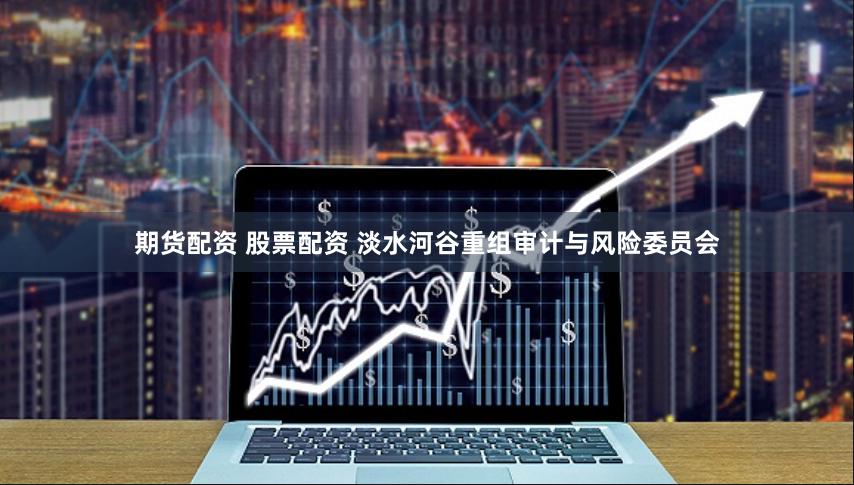 期货配资 股票配资 淡水河谷重组审计与风险委员会