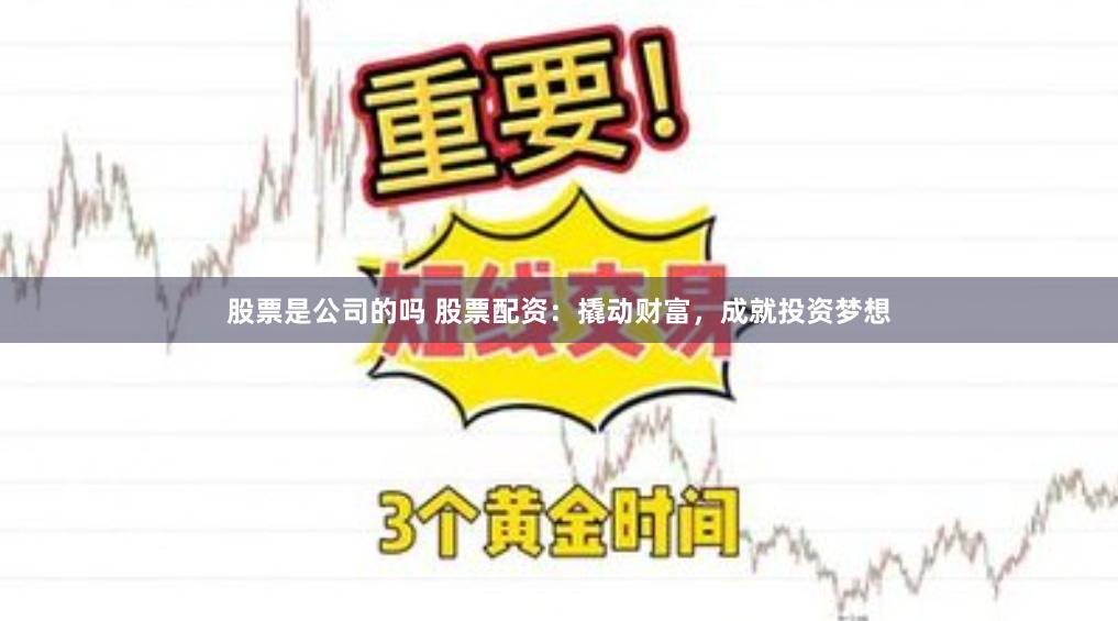 股票是公司的吗 股票配资：撬动财富，成就投资梦想